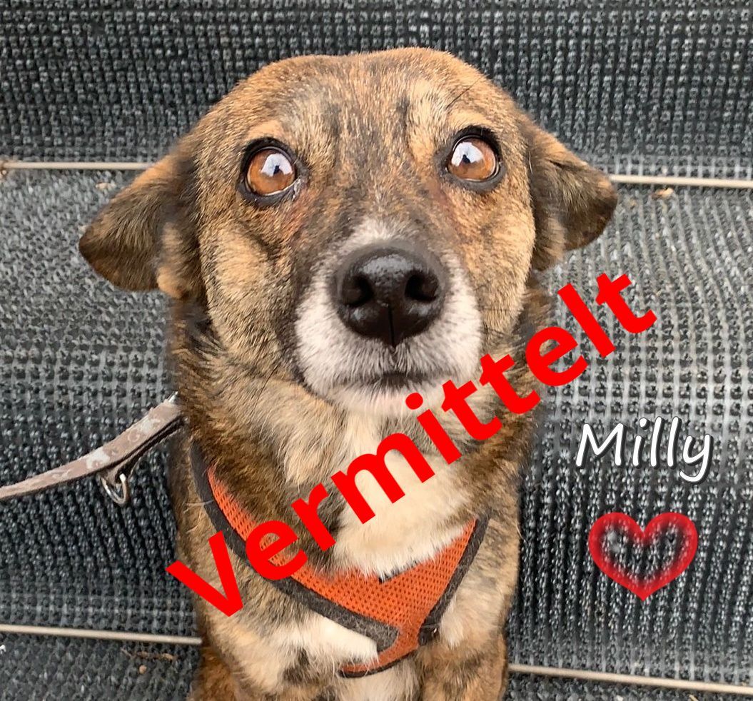 Milly