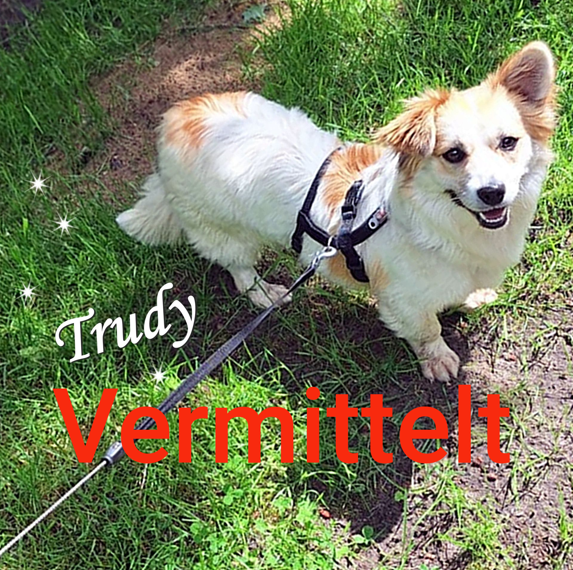 Trudy
