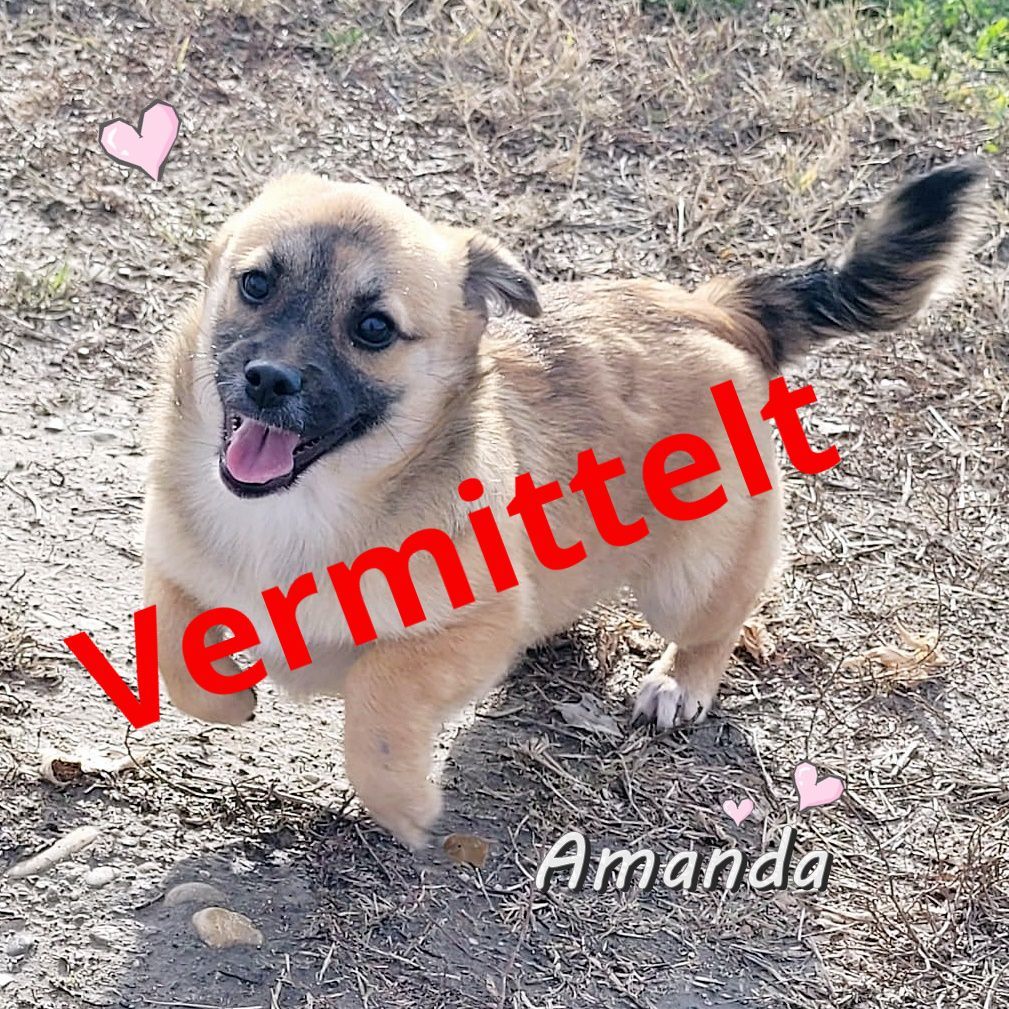 Amanda