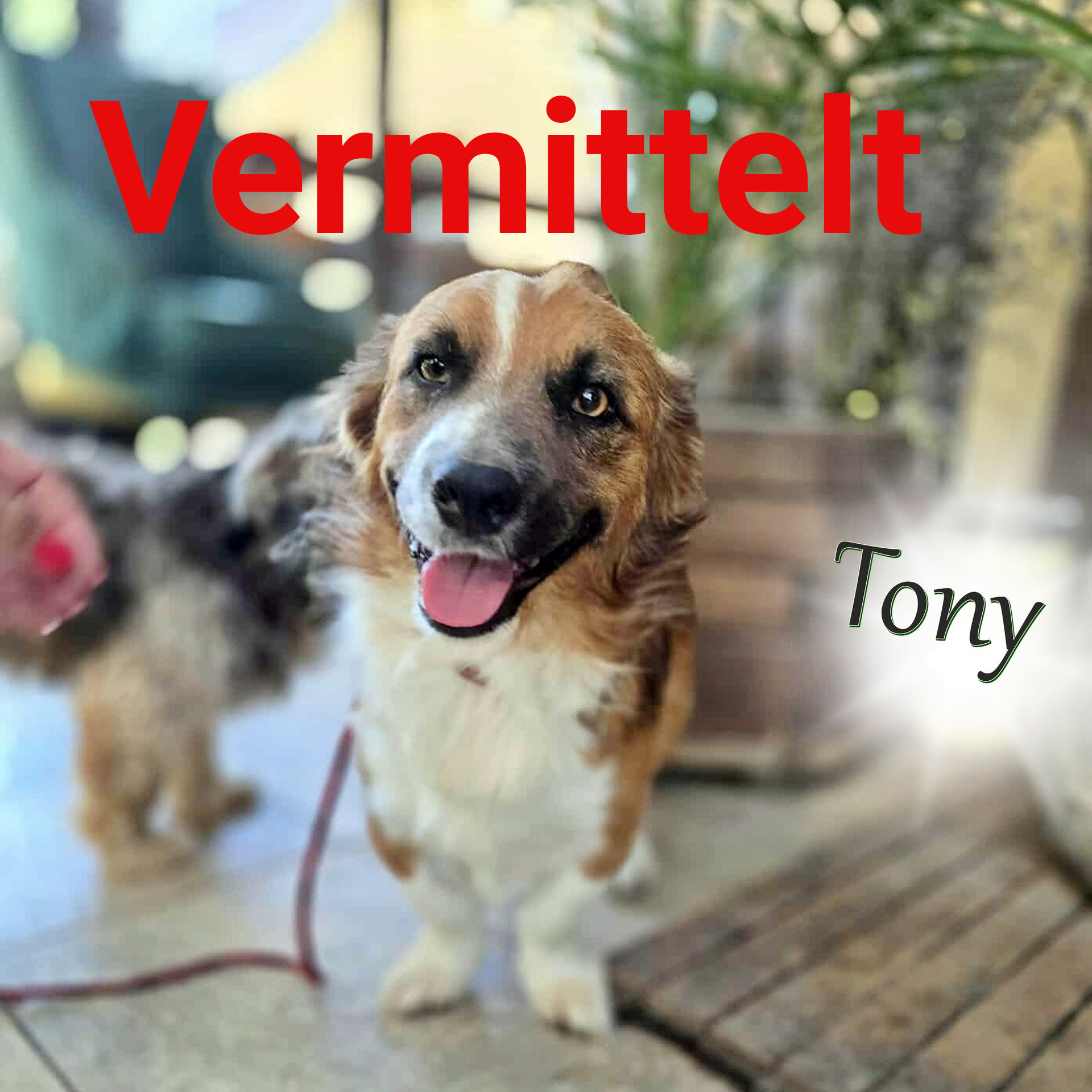 Tony