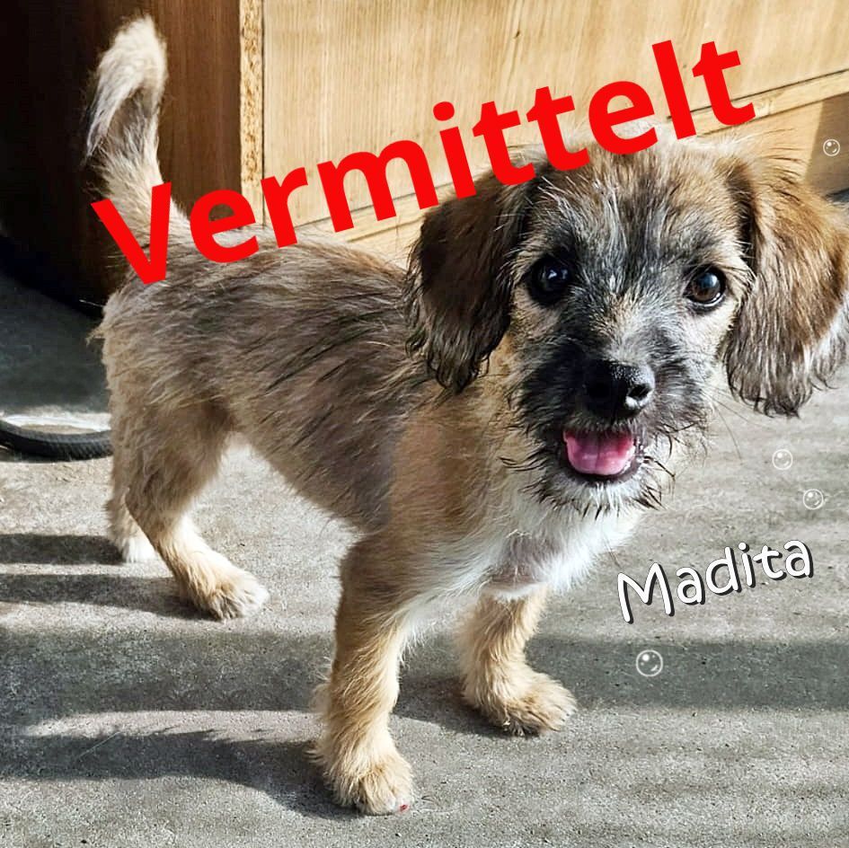 Madita