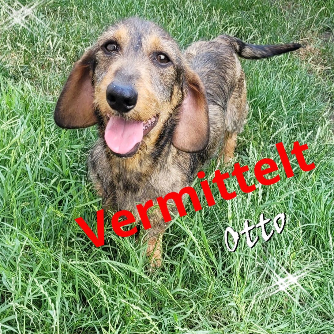 Otto