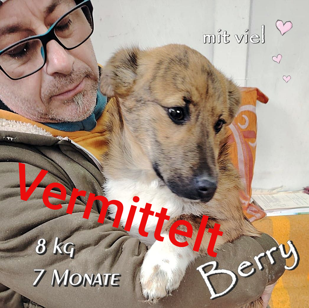 Berry