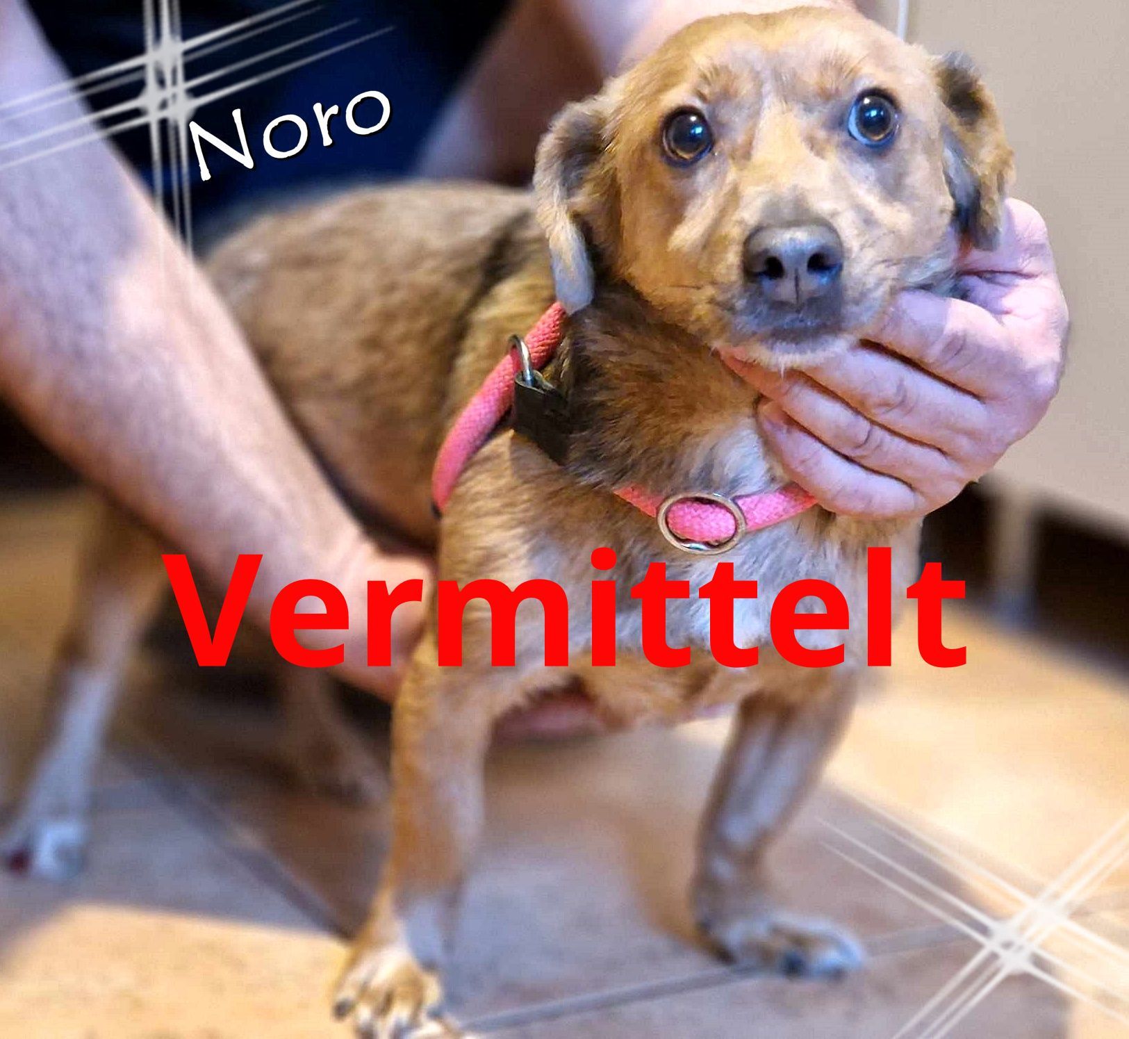 Noro