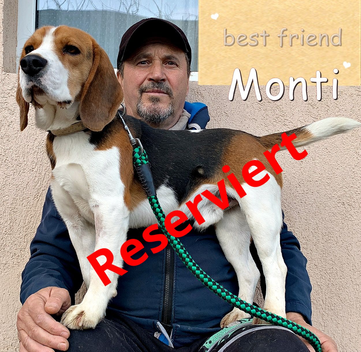Monti