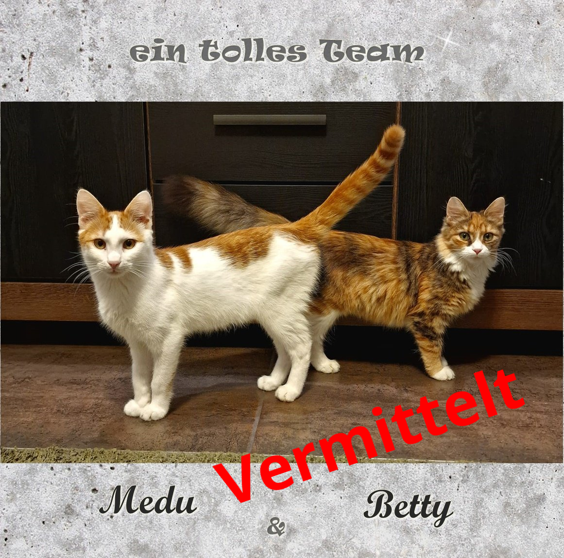 Betty & Medu