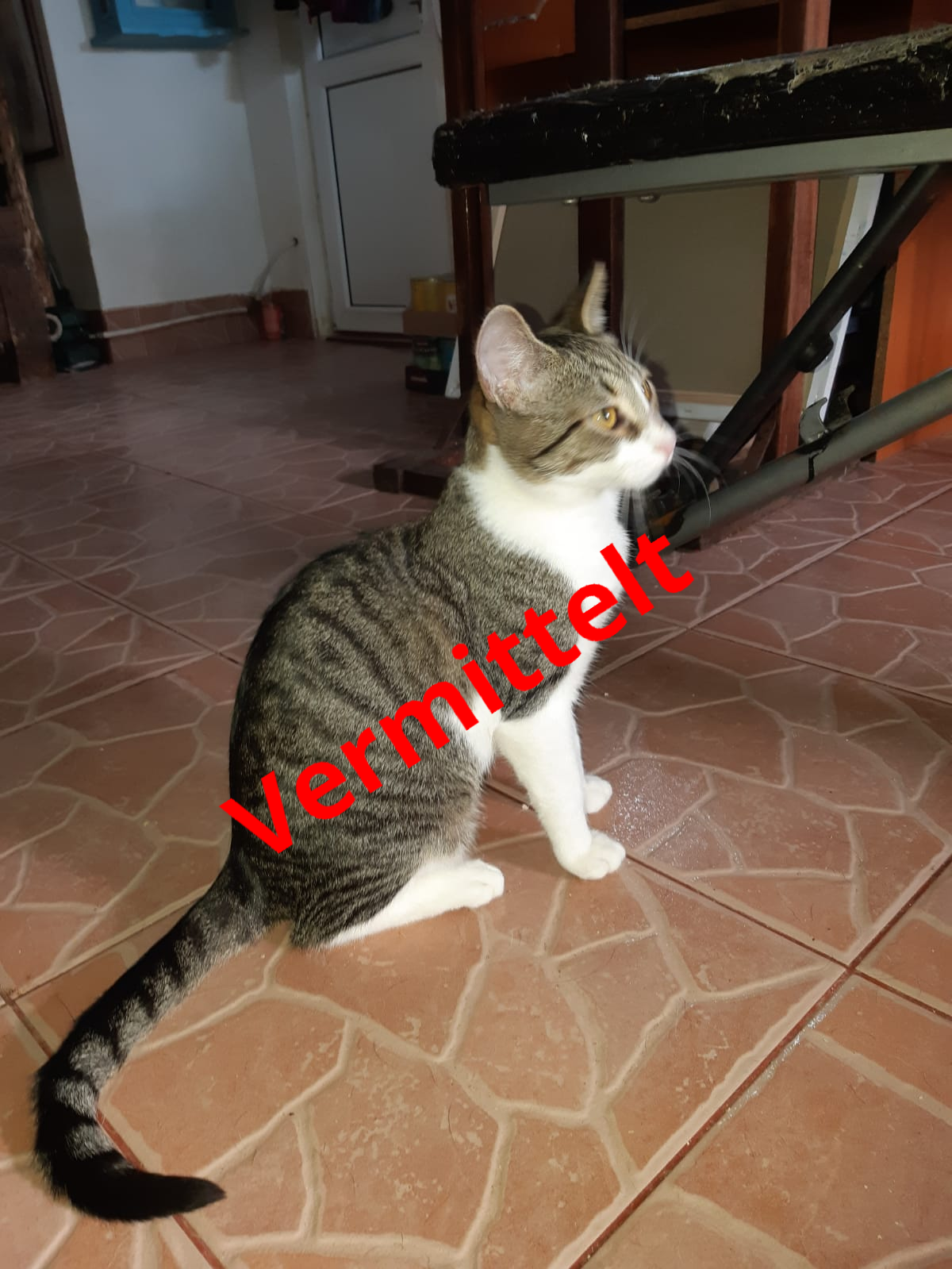 Krümel