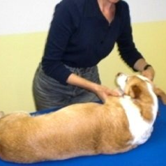 Behandlung am Tisch