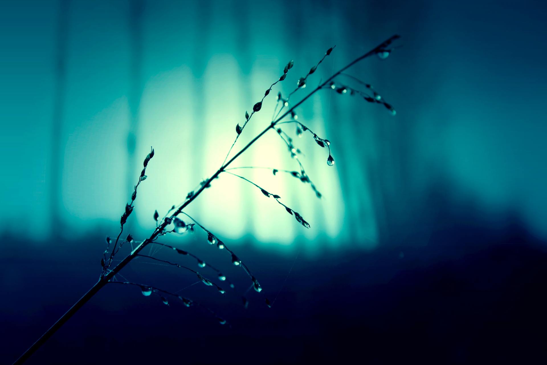 Living Waters Chronic Pain | Overwhelmed By The Storm