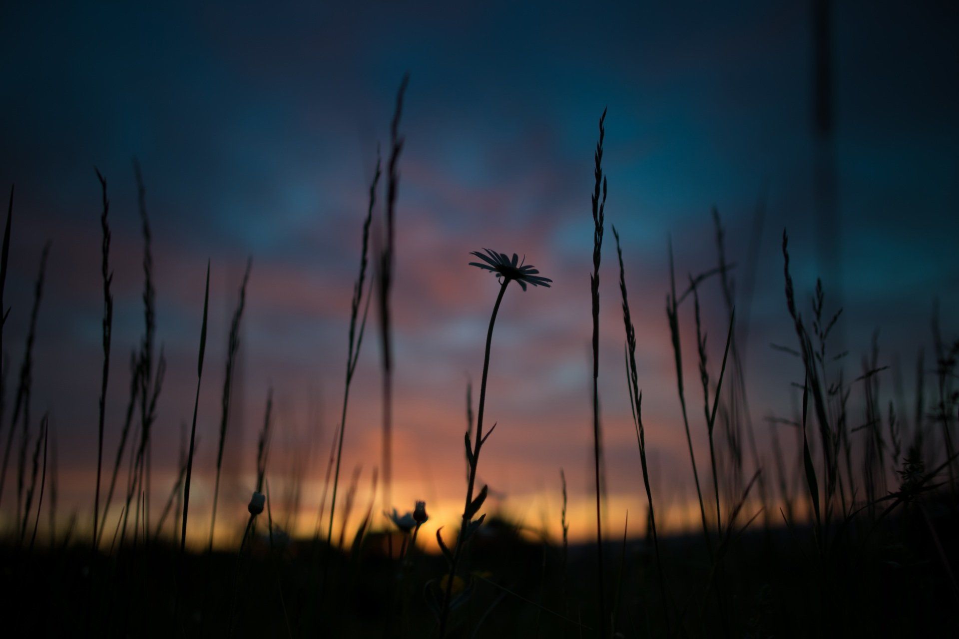 chronic pain and the Christian