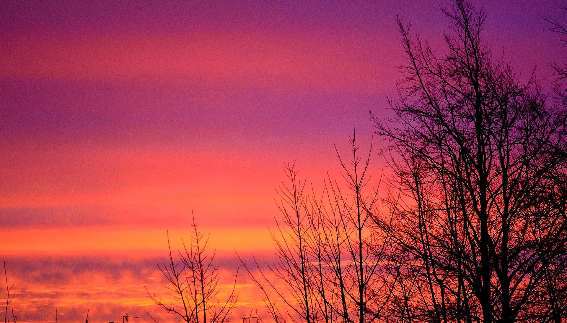 honoring God while living with chronic pain