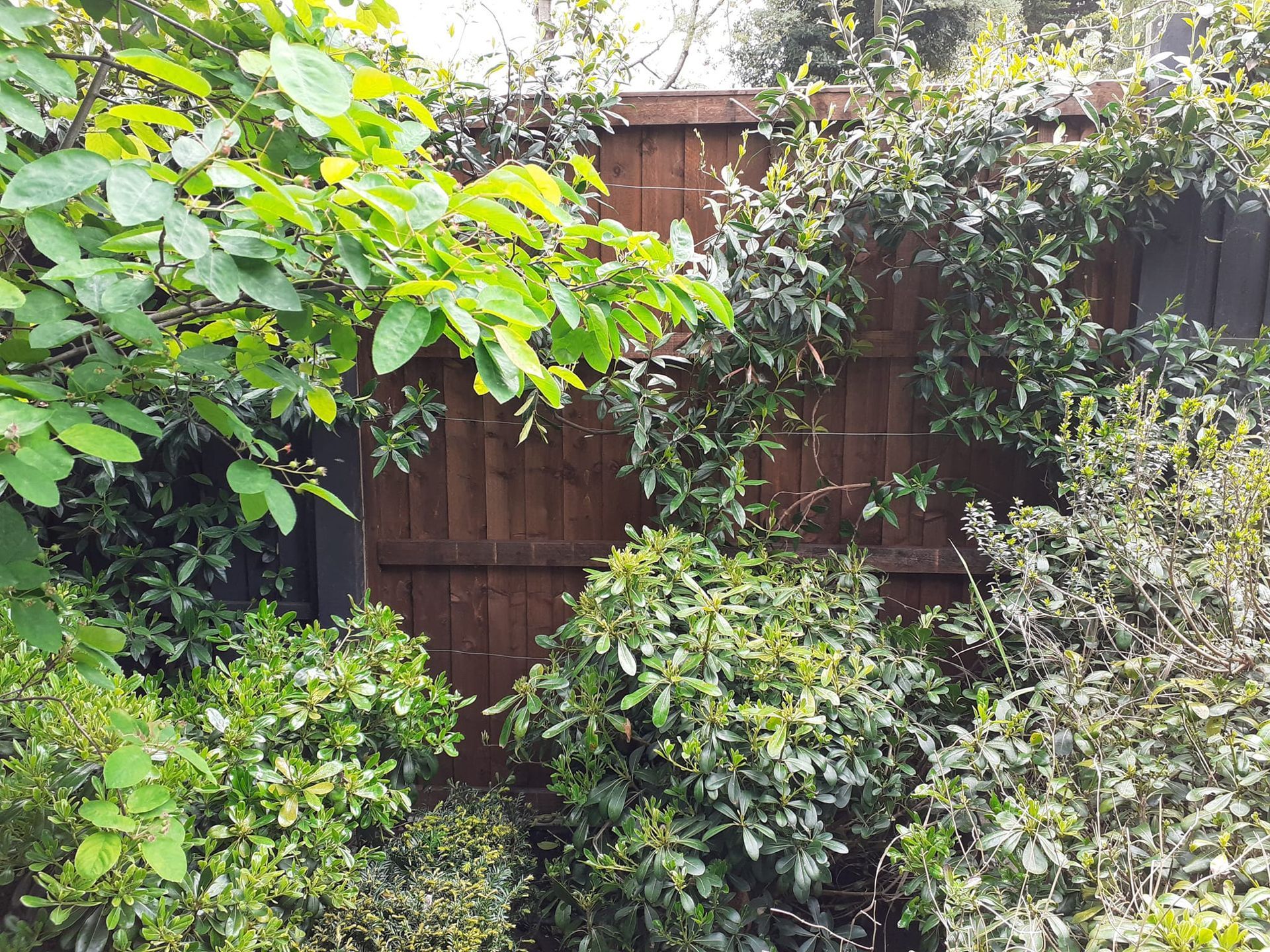 Fencing Contractors Camberwell SE5