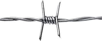 Fencing for Security: Beyond Barbed Wire
