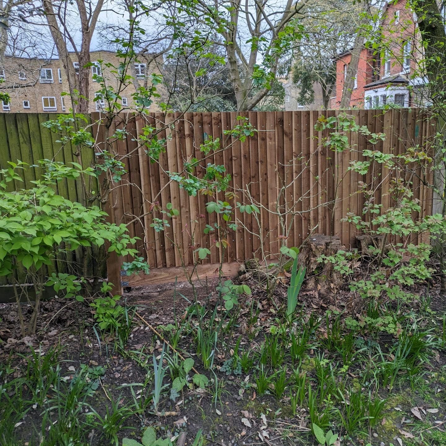 Garden Fence Panel Repair Services in London