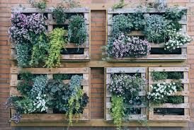Vertical Gardening On Fences