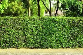 Eco Friendly Security Fencing
