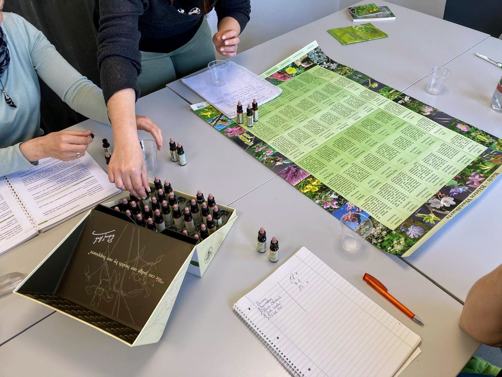 Bachblüten Tierheilpraktiker