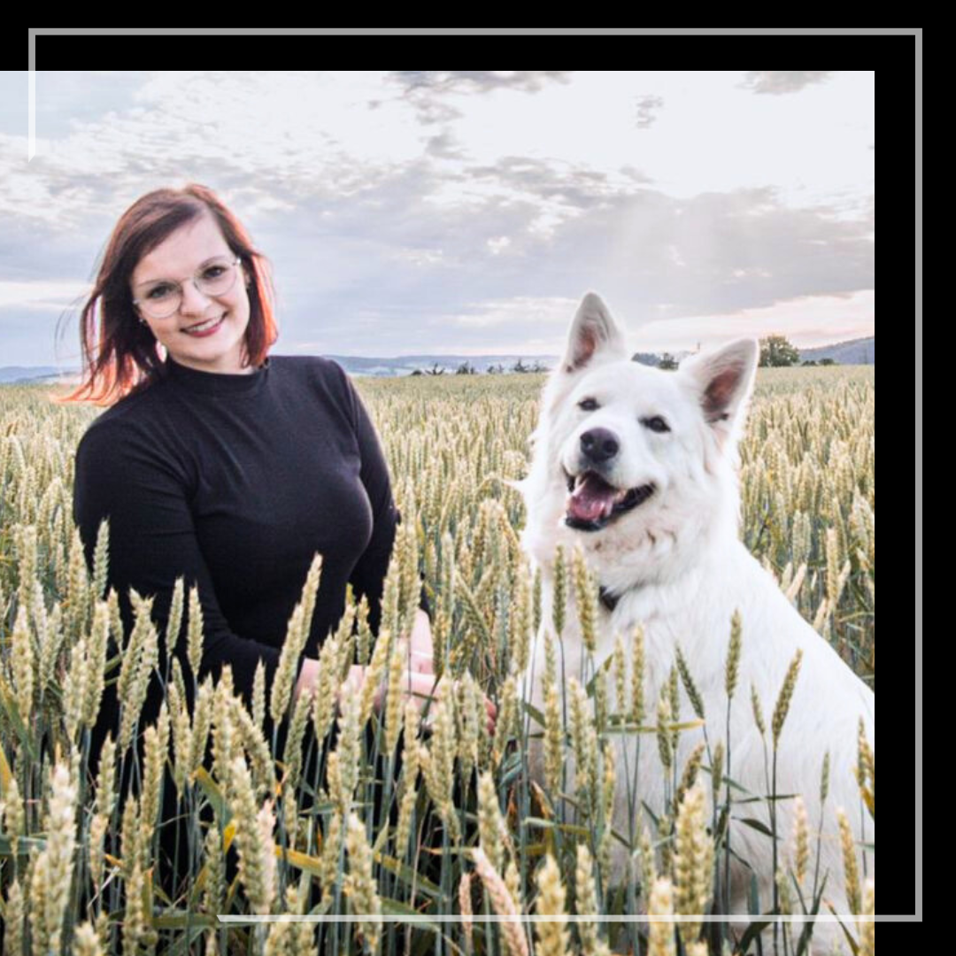 Tierheilpraktiker Ausbildung Tierosteopathie TCVM