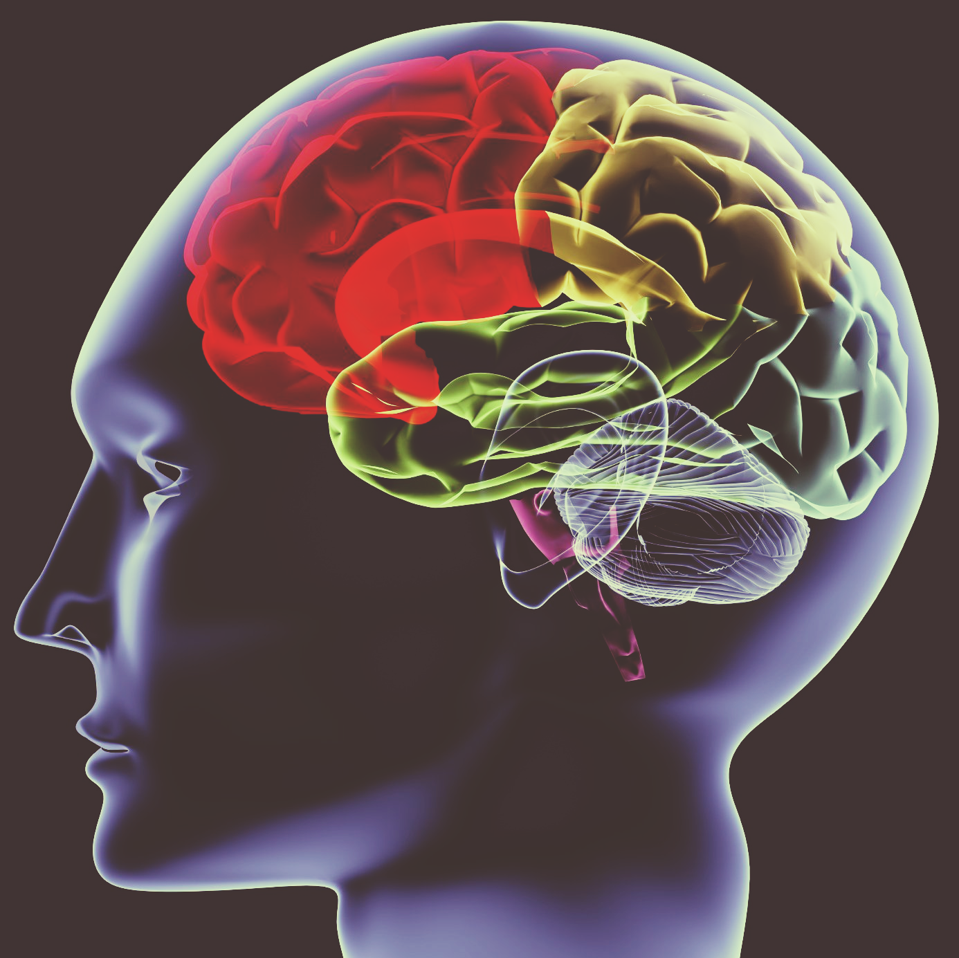 Kerstin Gaßmann Mentalcoaching