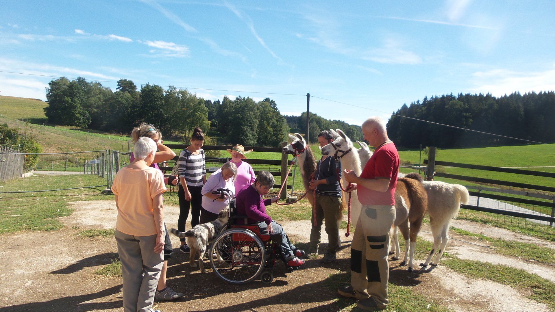 Menschen mit Behinderung bei Lamas