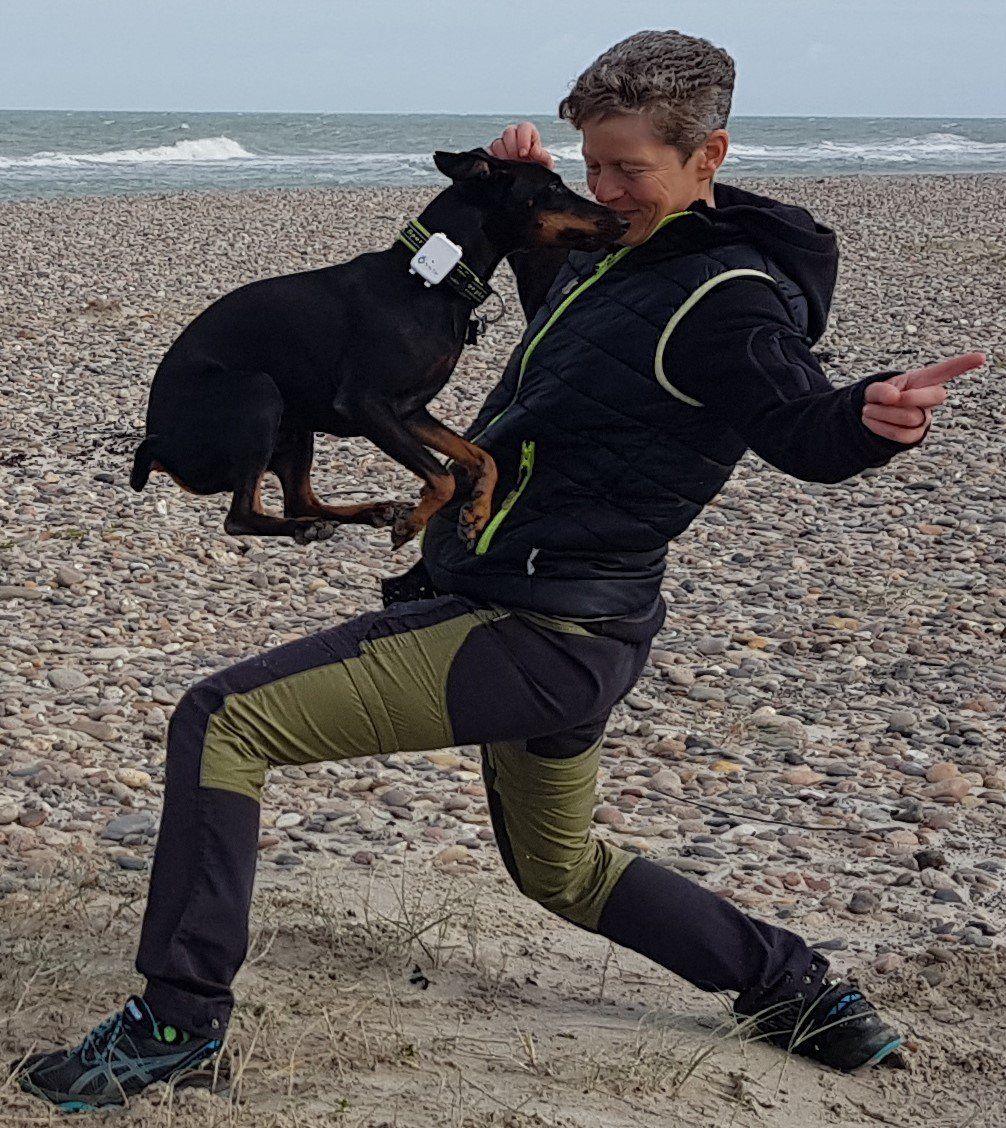 Beschäftigung Hundeschule TeutoPfoten Beschäftigung