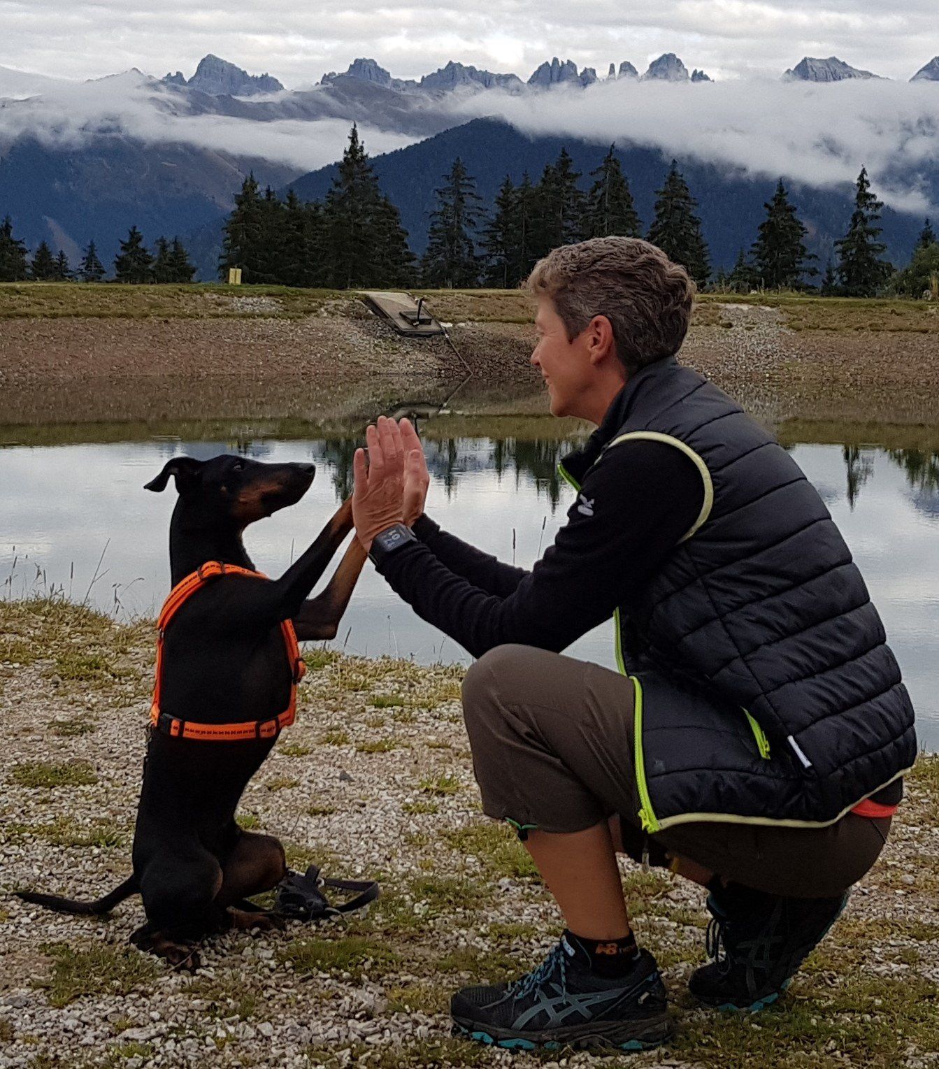 Einzelcoaching Einzelcoaching Hundeschule TeutoPfoten Andrea Kerkhoff