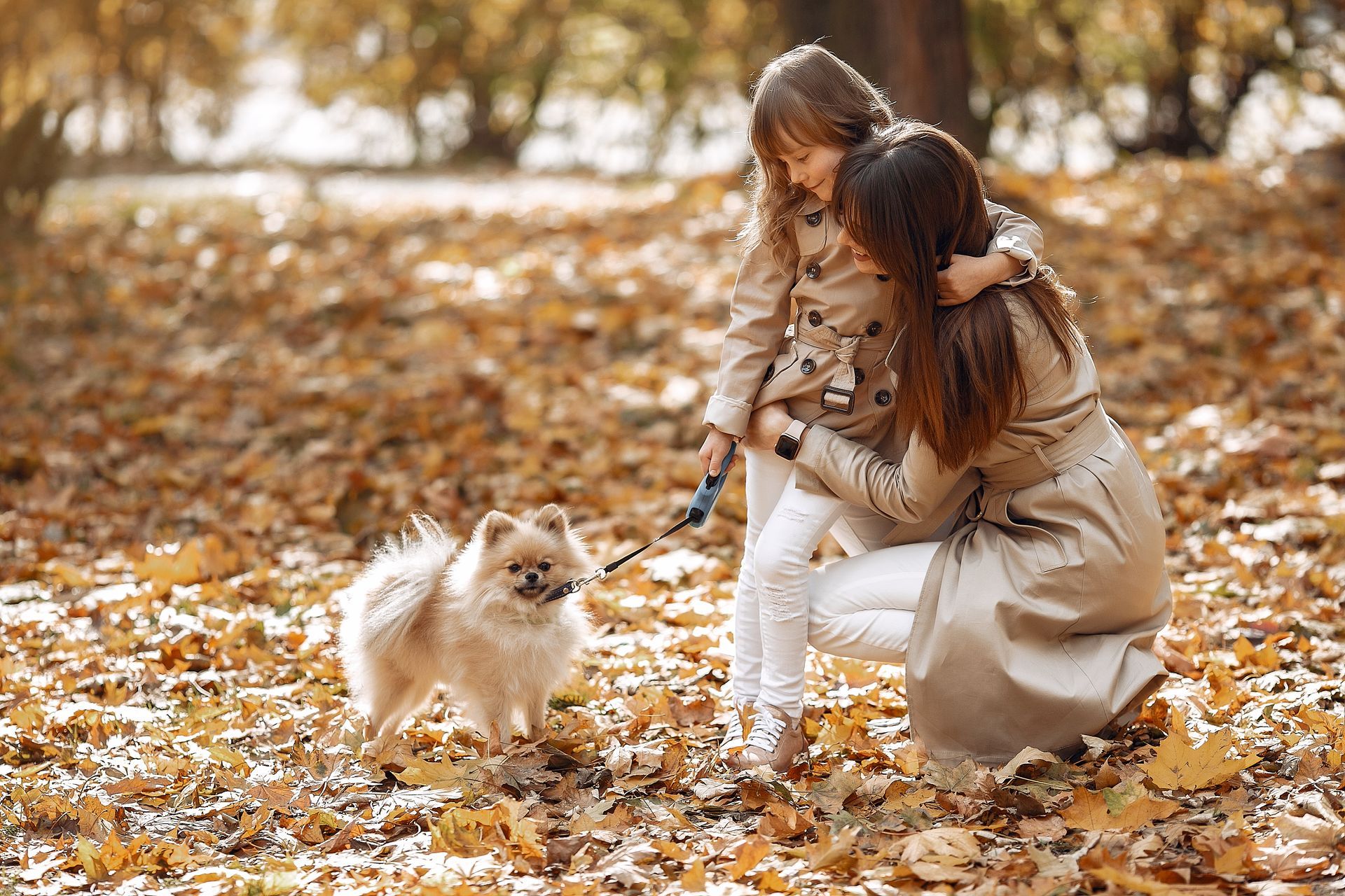 Enfermedades comunes en otoño para perros y gatos