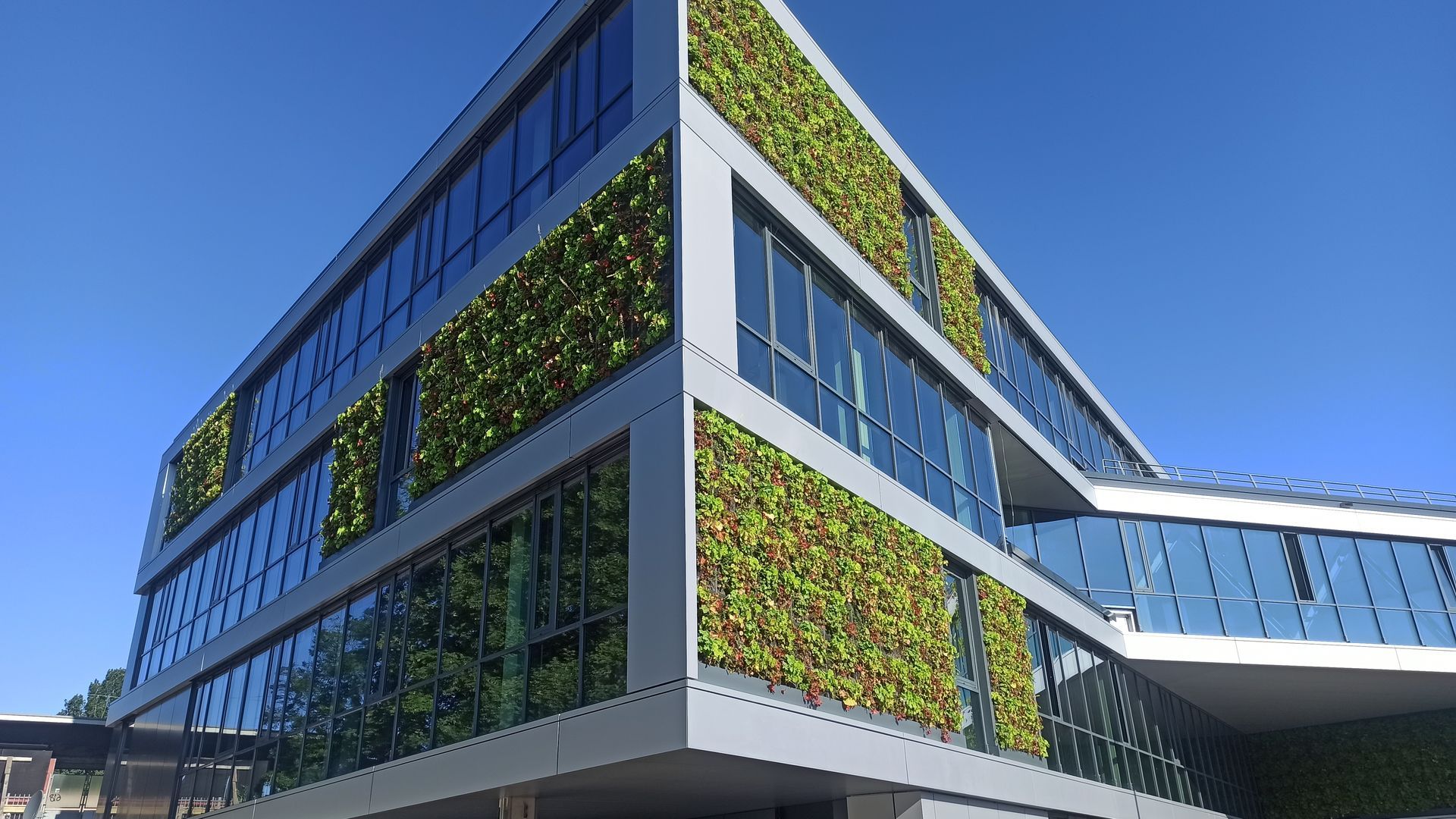 Fassadenbegrünung an einem modernen Gebäude, ein Beispiel für urbane Begrünung und nachhaltige Stadtplanung durch eine erfahrene Begrünungsfirma.