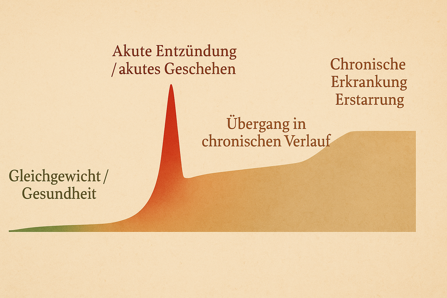 Gesundheit wird unterbrochen durch Entzündung und endet im chronischen Verlauf einer Krankheit
