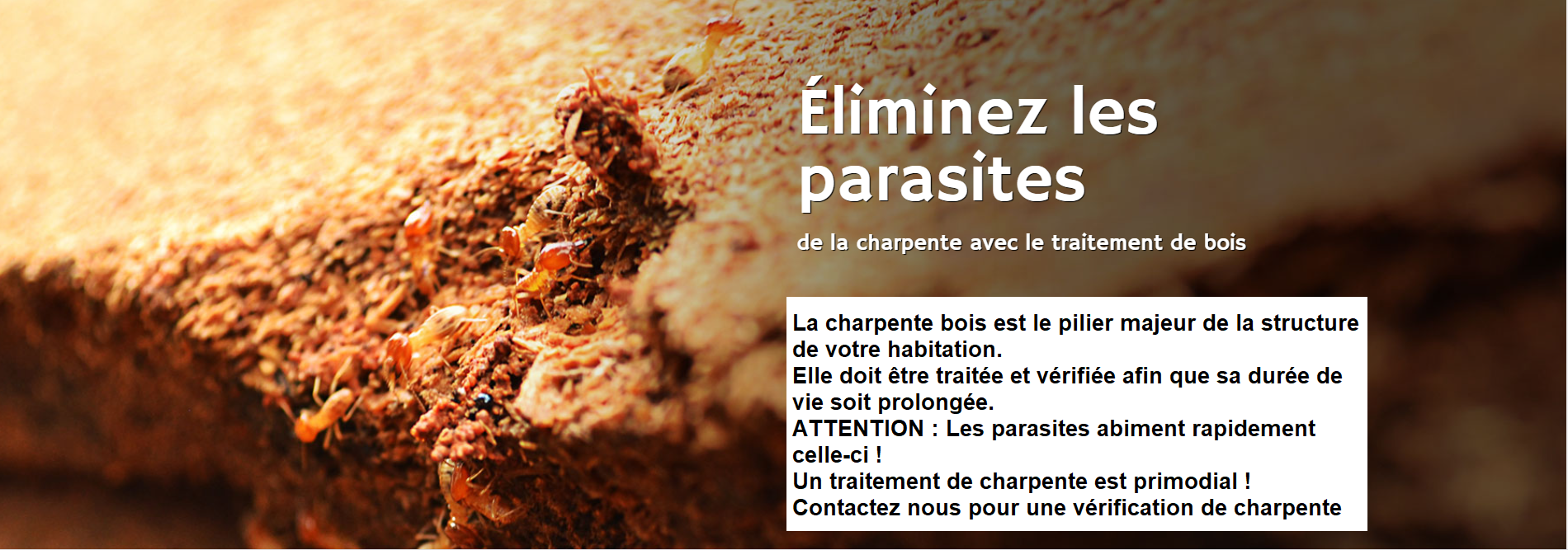 traitement toiture essone 91