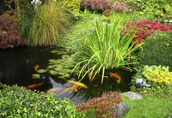 Gartengestaltung Amin Dienstleistungen Gartengestaltung von Amin Dienstleistungen Offenburg und Umgebung