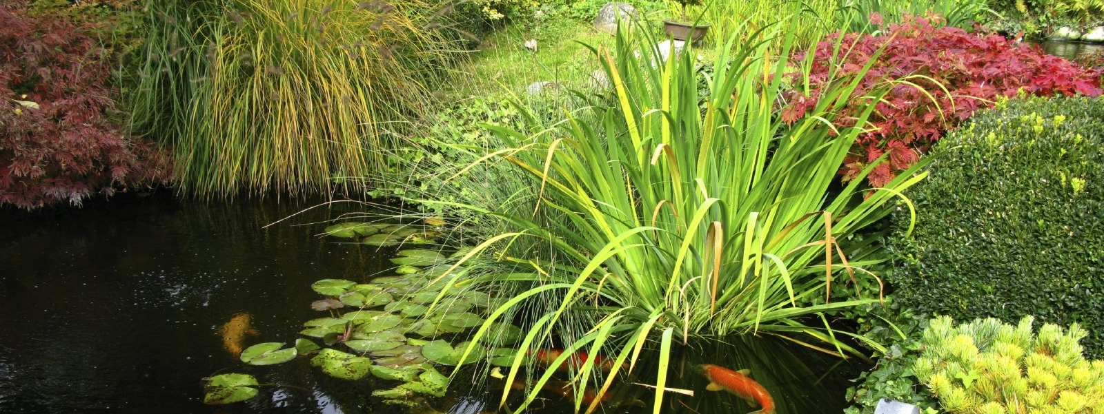 Gartenarbeit, Gartengestaltung Gartengestaltung von Amin Dienstleistungen