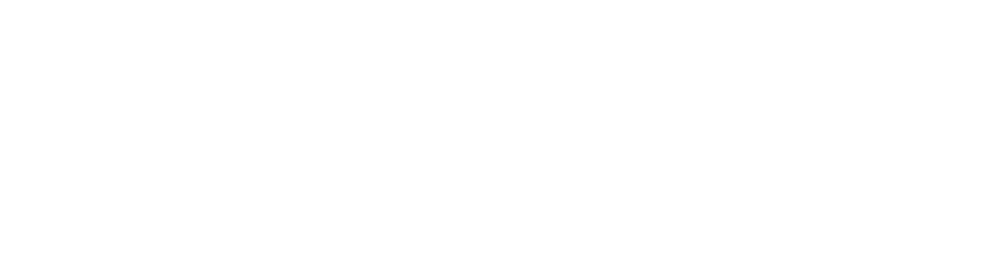 logo bergamo design store