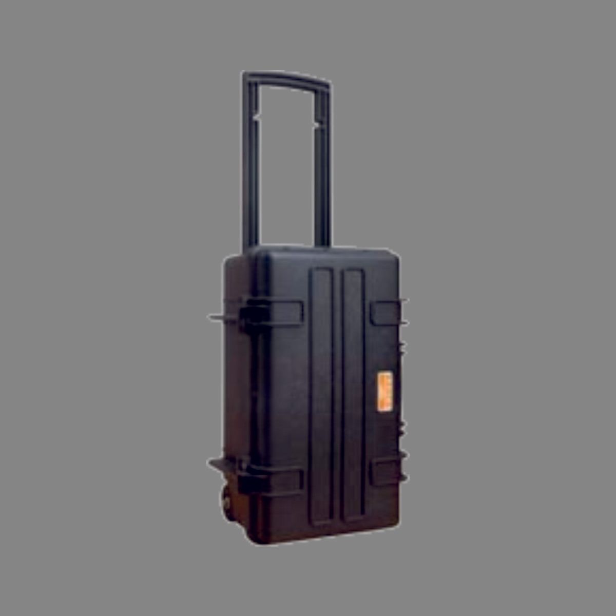 Valise de transport
