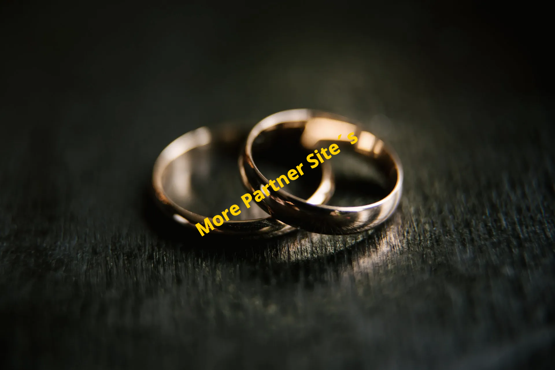 More Partner Site More Partner Site