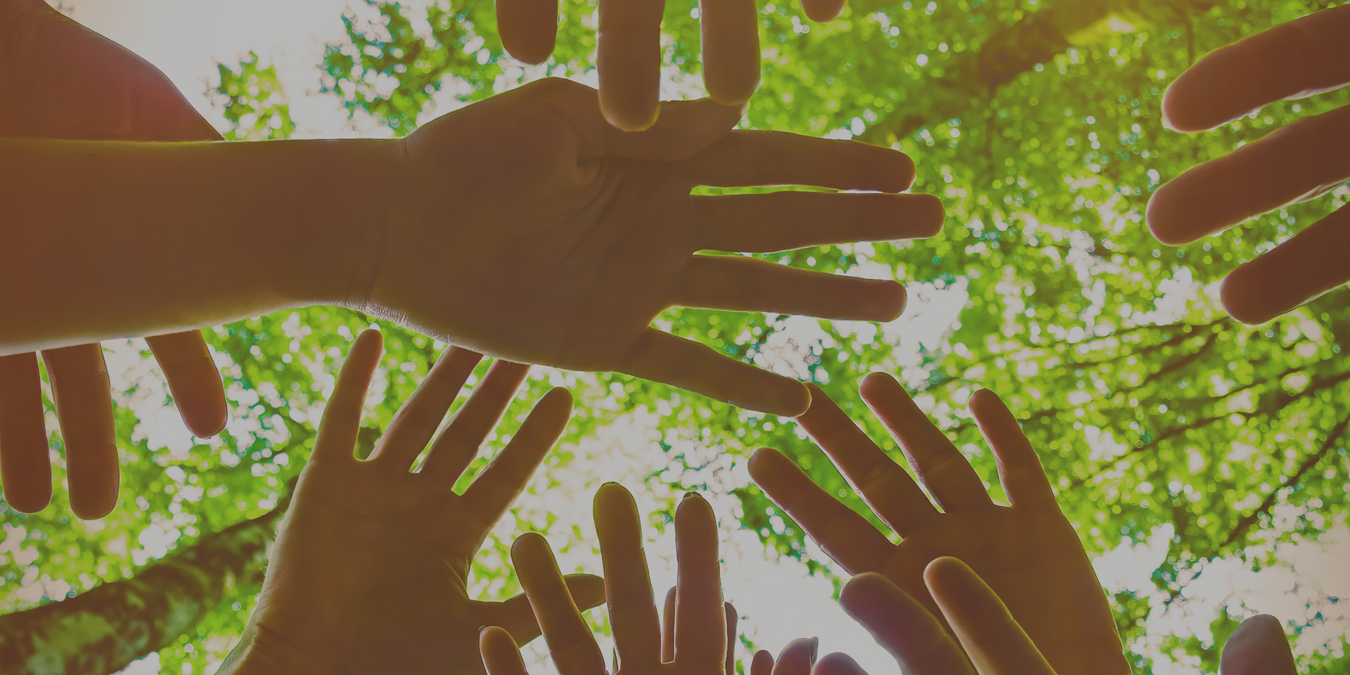 Hände mehrerer Menschen liegen im Teamwork-Gestus übereinander vor einem Wald und symbolisieren Nach