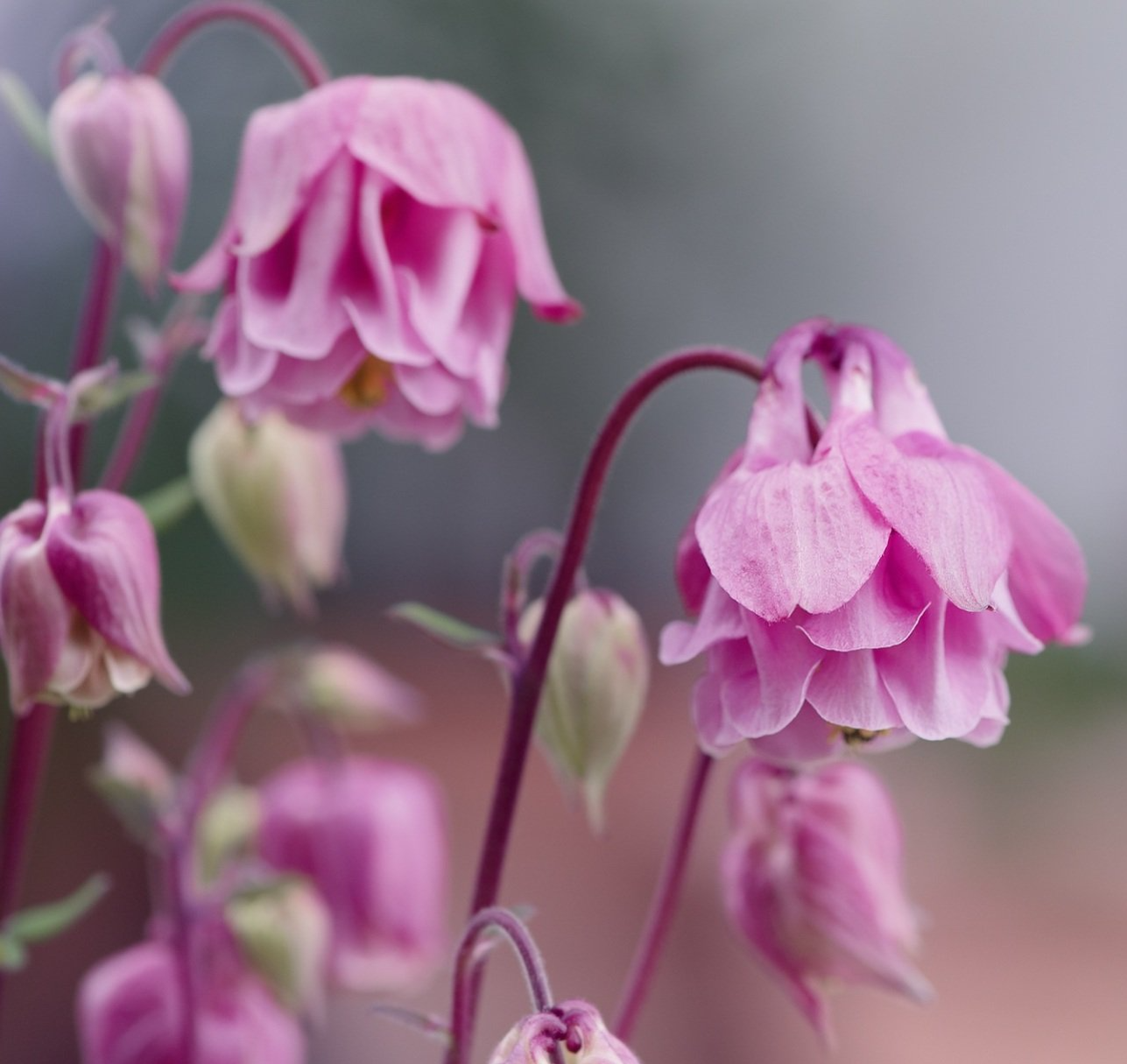 Garten segnen