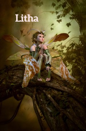 Bunte niedliche Elfe - Litha