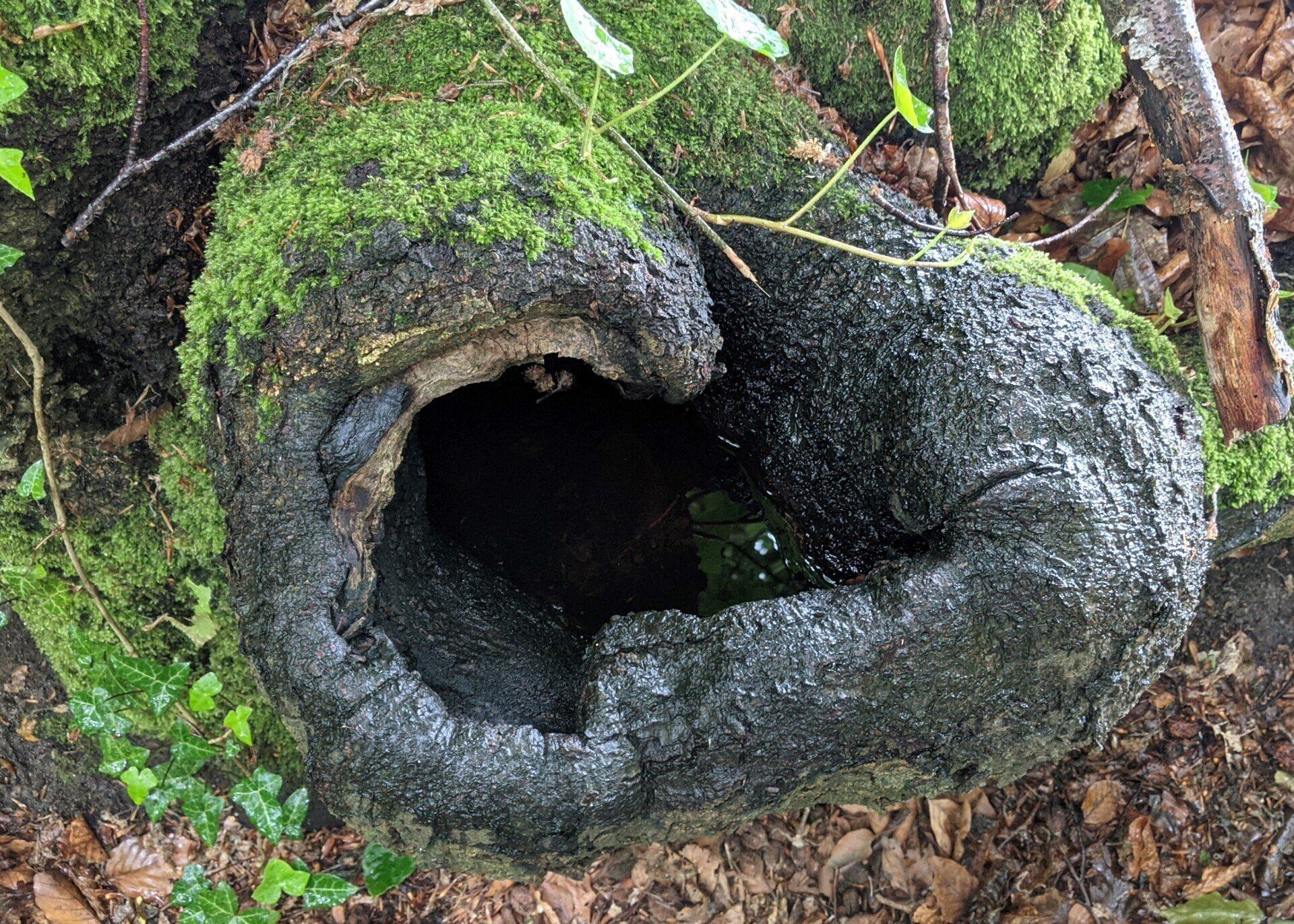 Elfen Brunnen Elfen Brunnen