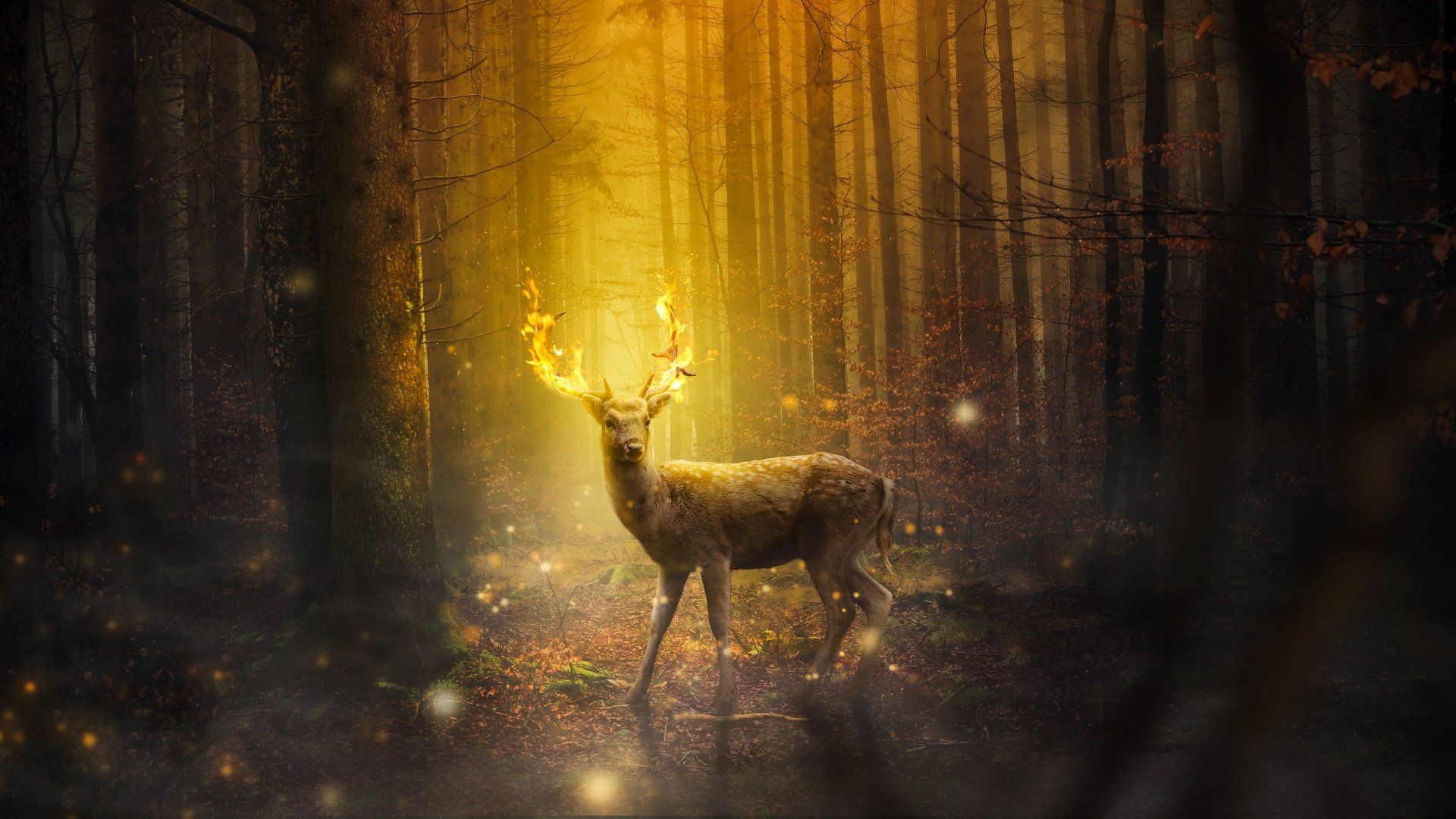Beltane