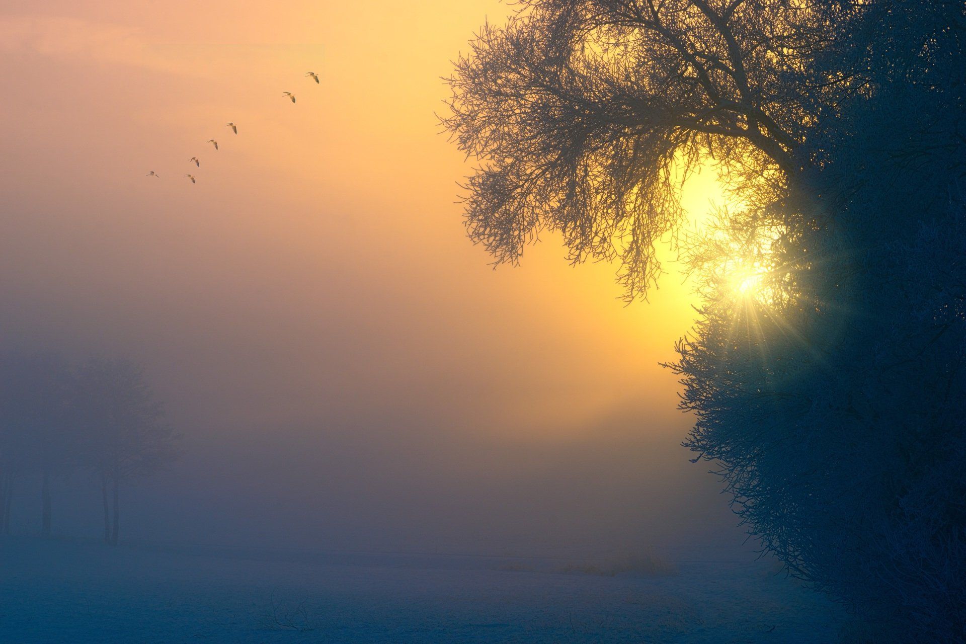 Sonnenaufgang