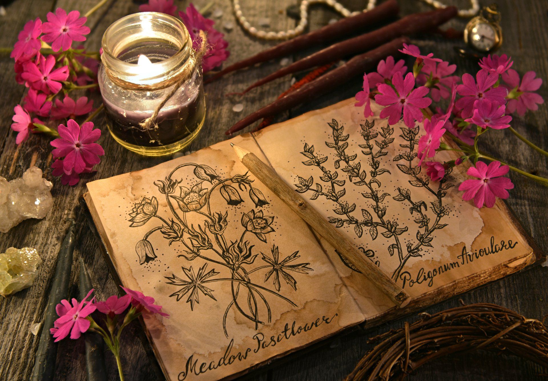 Zauberbuch mit Blüten Zeichnung