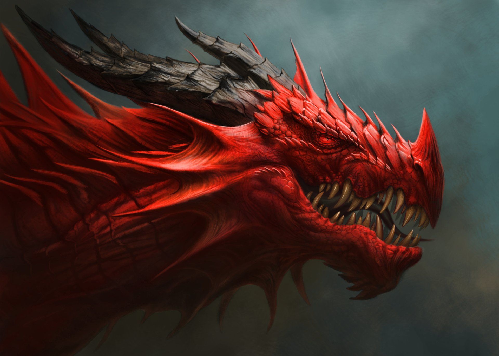 Drache