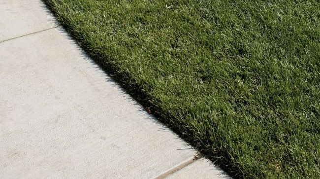 Gartenpflege in Gauting Gartenpflege in Gauting