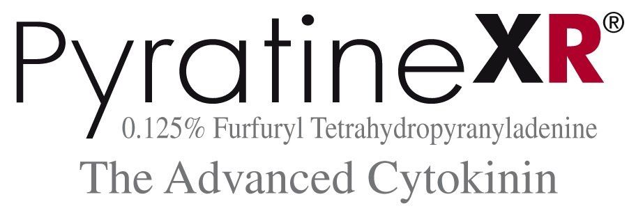 PyratineXR Logo