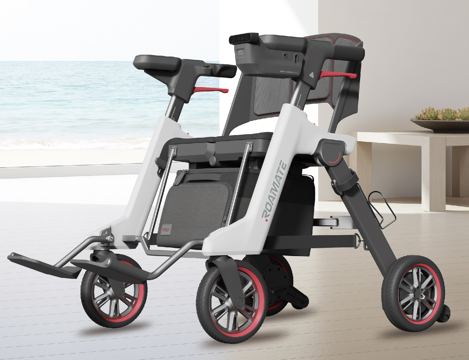 Aufbewahrungskorb für Roamate (Modell RMM-01)