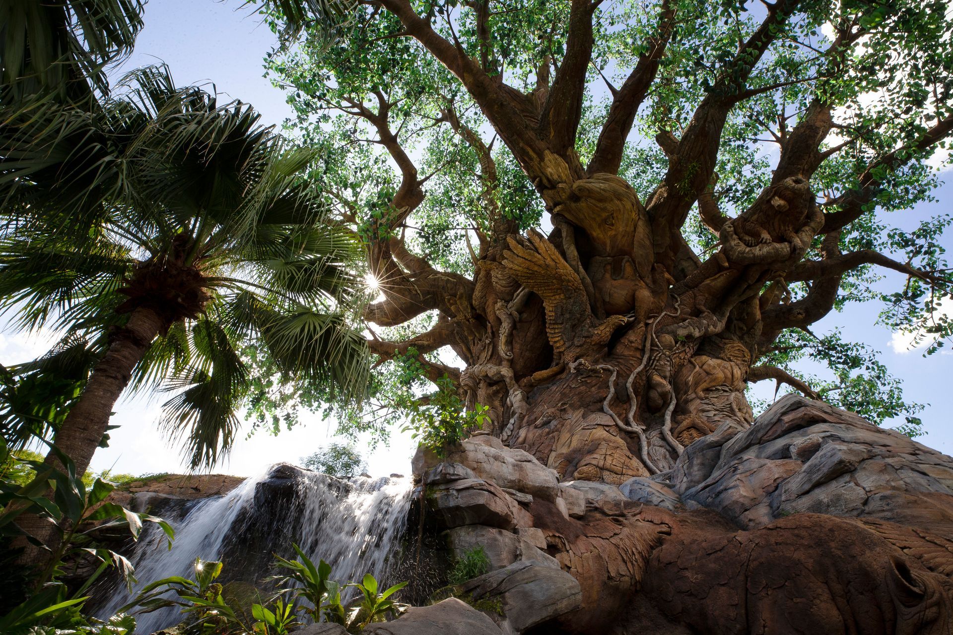 Animal Kingdom