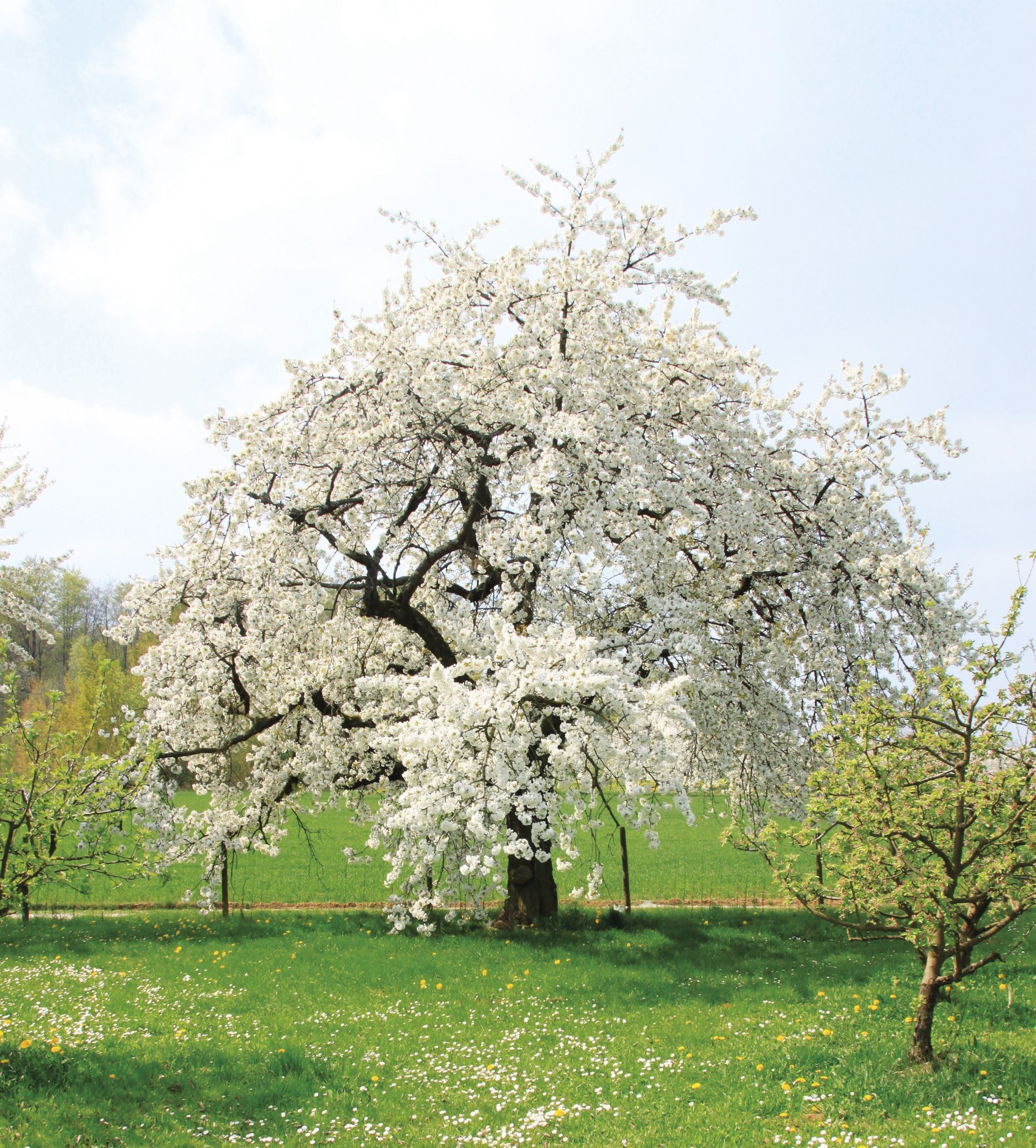 Haus Ferienwohnung Walberlablick von Ortsmitte kommend