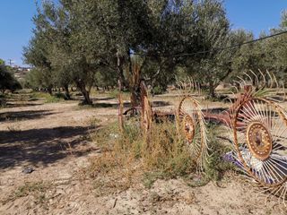 to monadiko ... looks all Greek to me Frossos Team