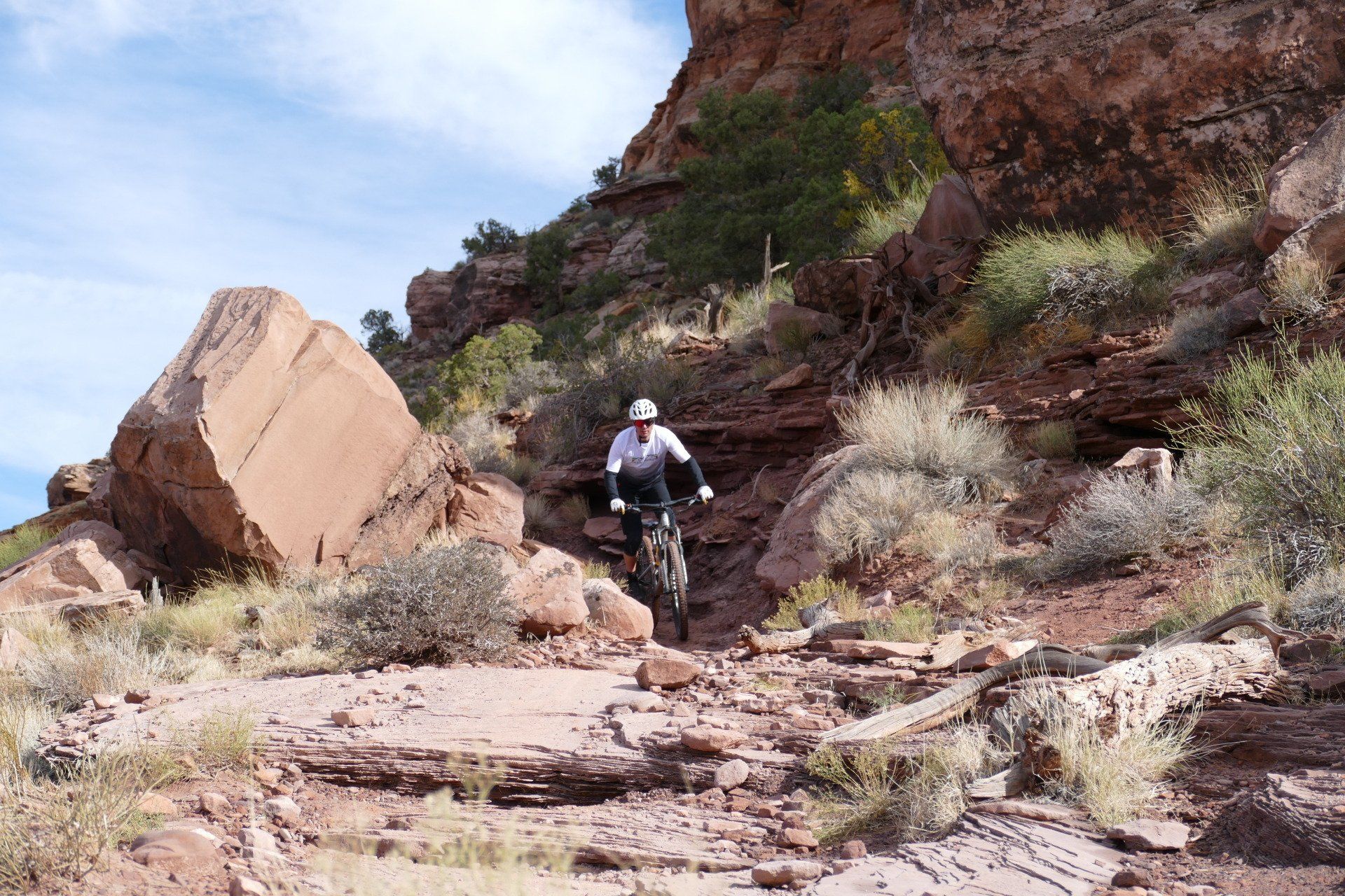 Mountainbike Jersey